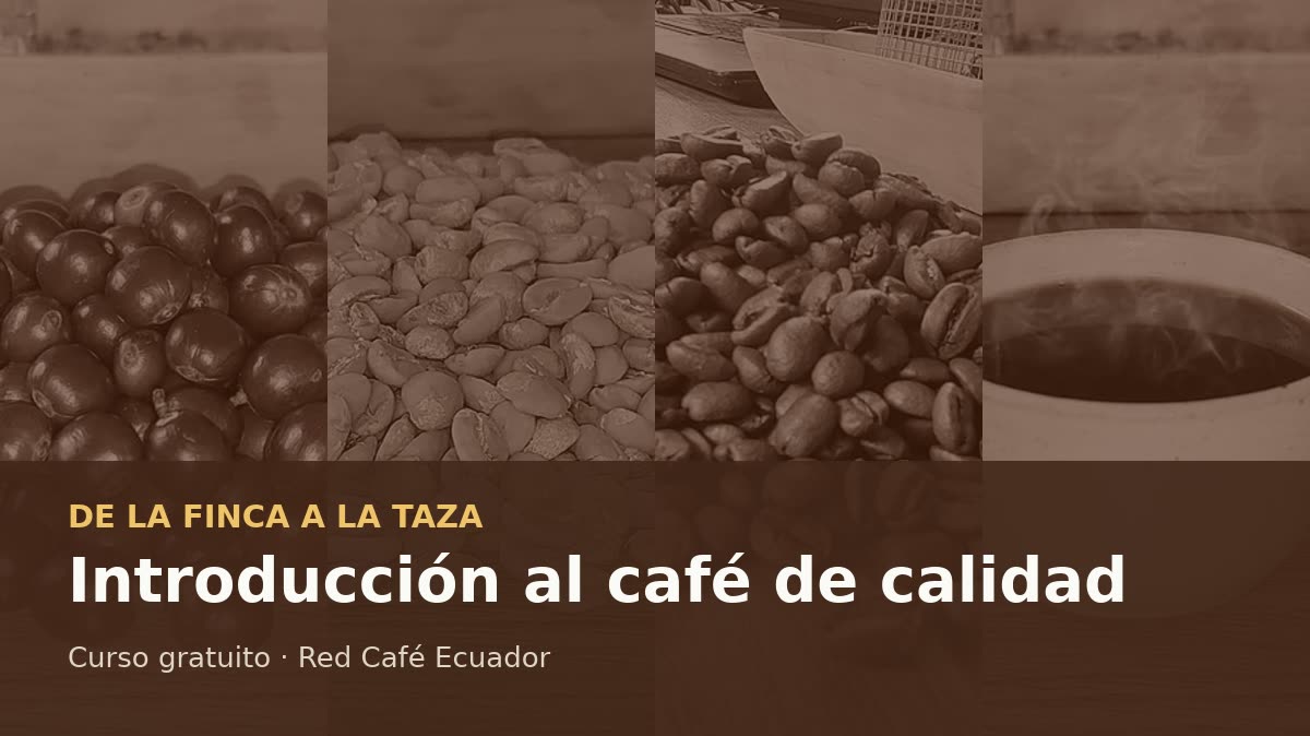 Portada de Introducción al café de calidad: de la finca a la taza